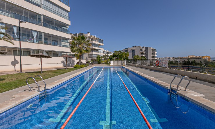 Wederverkoop - Appartement - Los Dolses - Pimienta