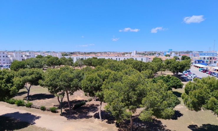 Wederverkoop - Appartement - La Zenia