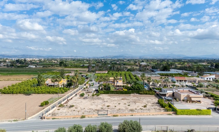 Sale - Detached villa - Elche - La Hoya
