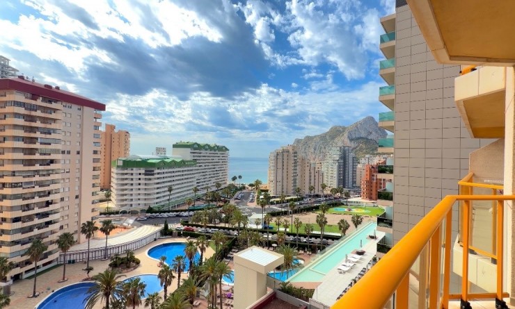Revente - Apartment / flat - Calpe - Zona Levante - Playa Fossa