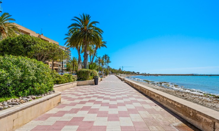 Wederverkoop - Appartement - Santa Pola