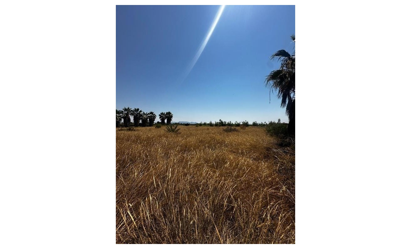 Wederverkoop - Building Plot - Elche