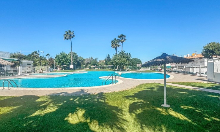 Wederverkoop - Bungalow - Torrevieja - Los Balcones - Los Altos del Edén