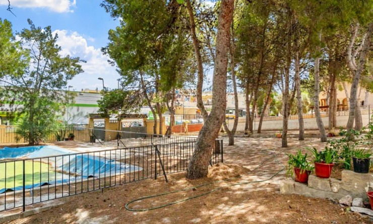 Wederverkoop - Detached villa - Torrevieja - Los Balcones - Los Altos del Edén