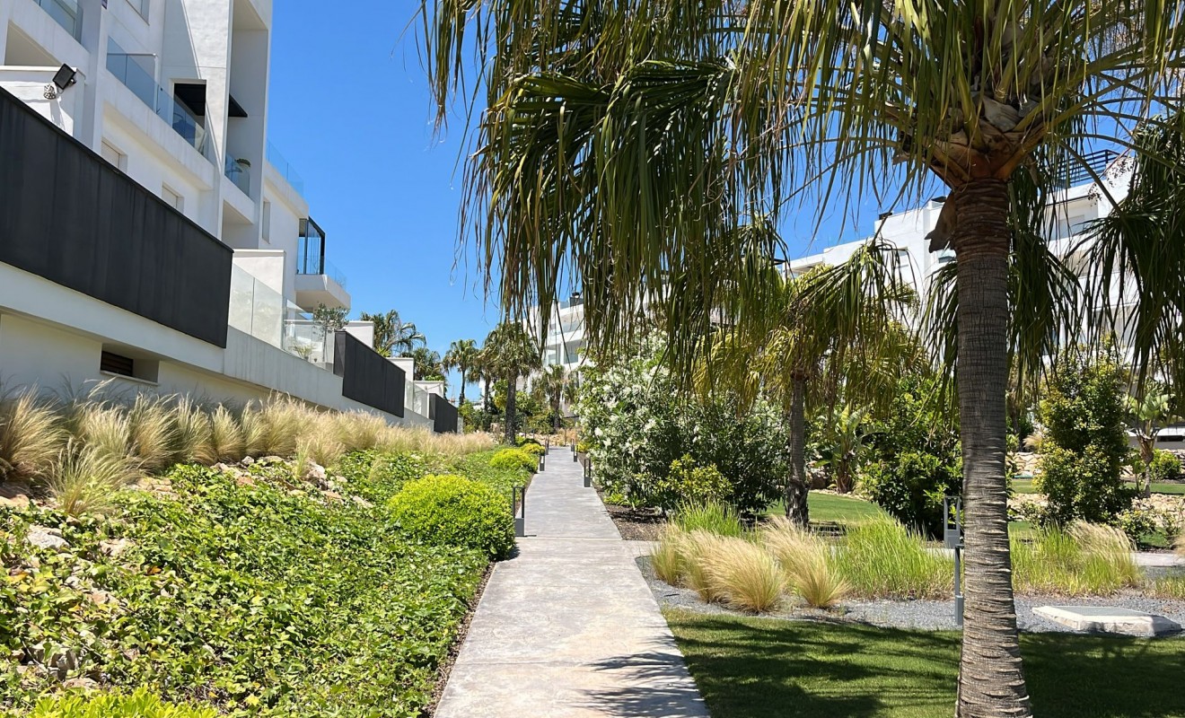 Wederverkoop - Appartement - Los Altos
