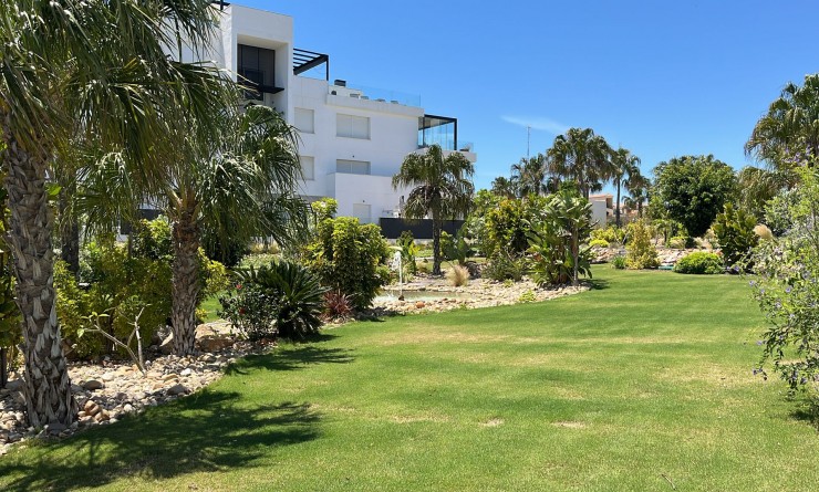 Wederverkoop - Appartement - Los Altos