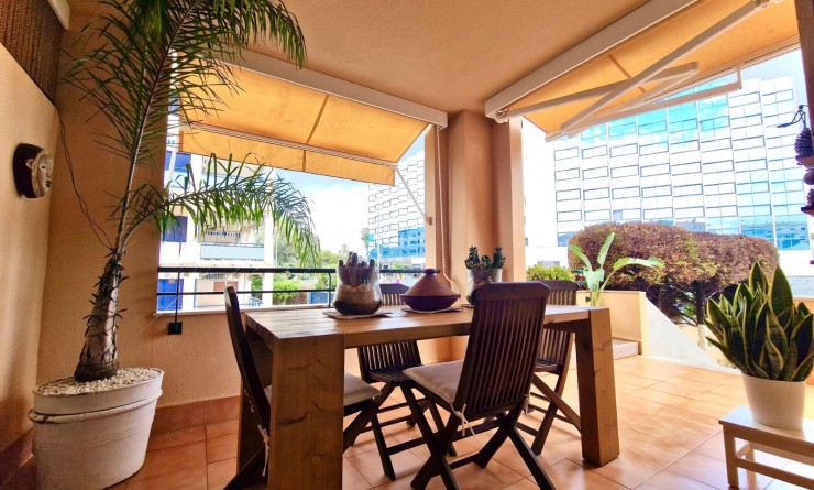 Wederverkoop - Apartamento - Denia - Port