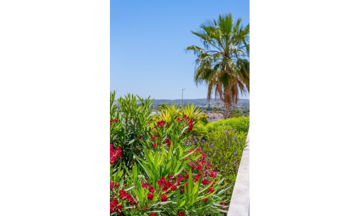 Wederverkoop - Villa - La marina
