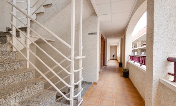 New Build - Apartment - San Fulgencio
