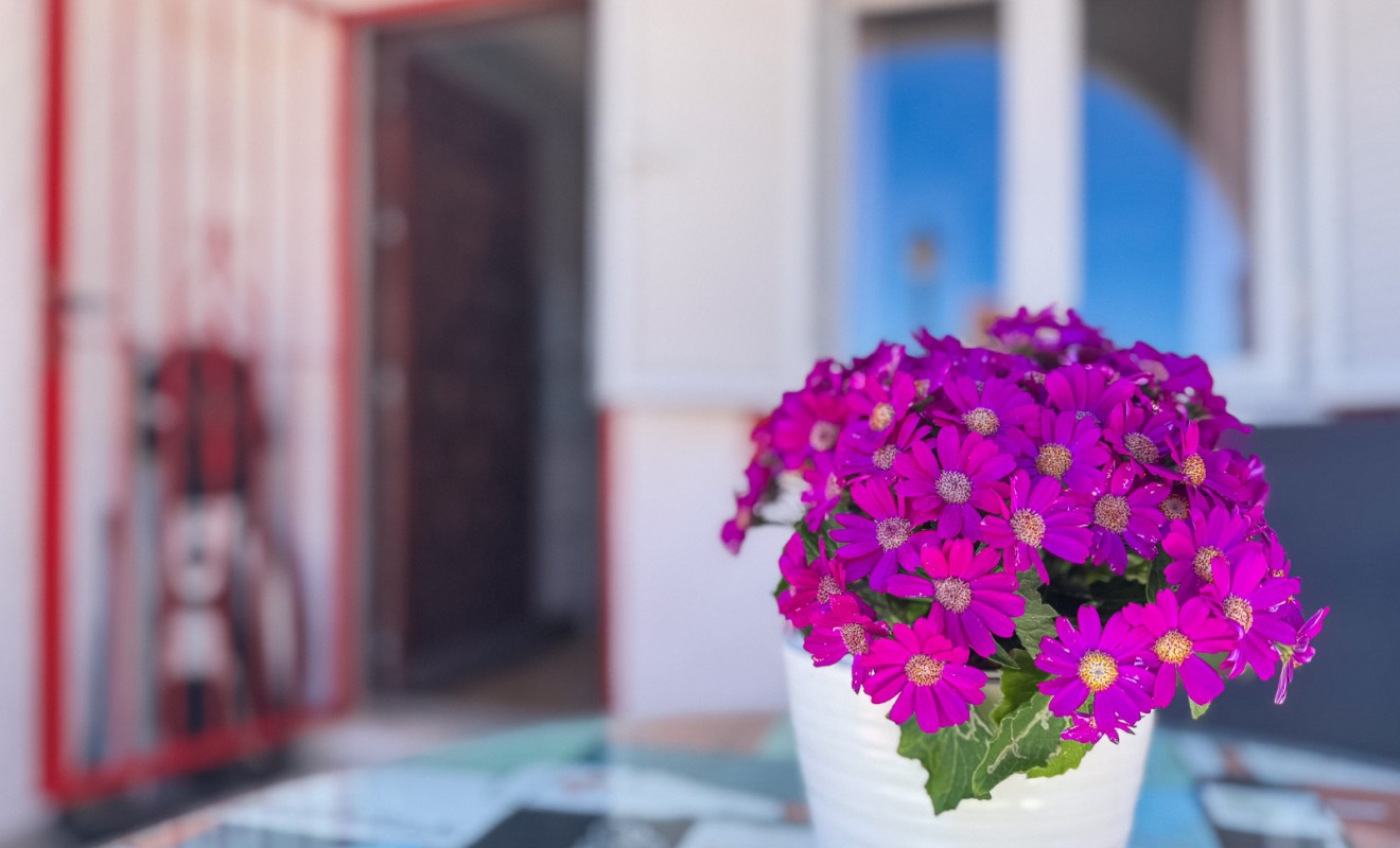 Wederverkoop - Duplex apartment - Torrevieja - Cabo cervera