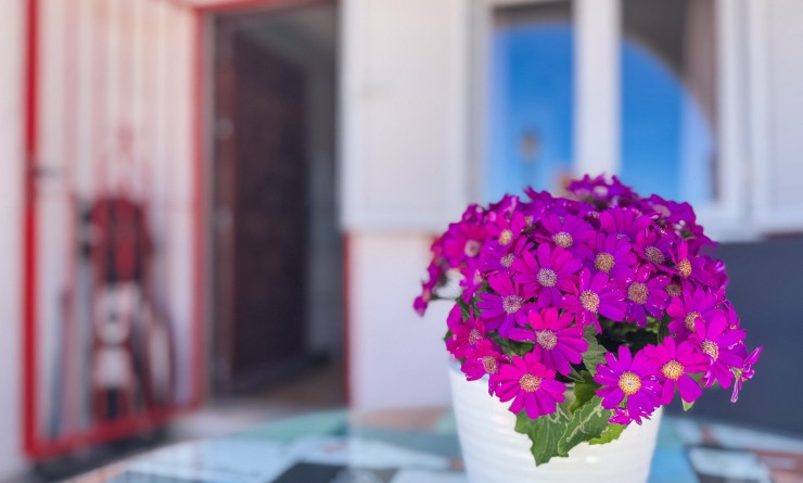 Wederverkoop - Duplex apartment - Torrevieja - Cabo cervera