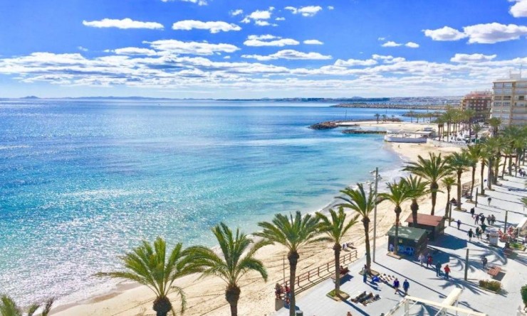 Nieuwbouw woningen - Villa - Torrevieja - Lago Jardín II