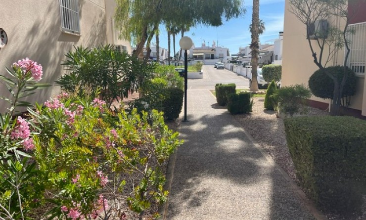 Wederverkoop - Appartement - Playa Flamenca