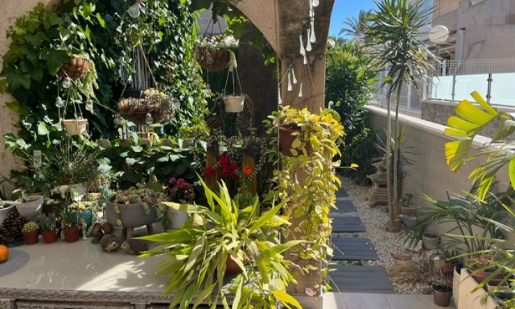 Revente - Quad House - Playa Flamenca