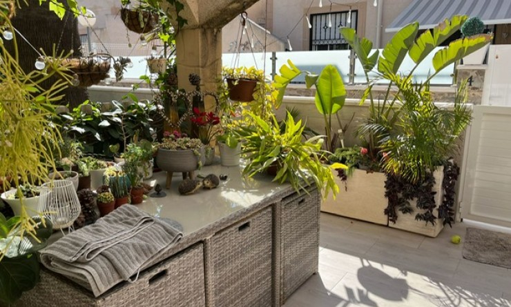 Revente - Quad House - Playa Flamenca