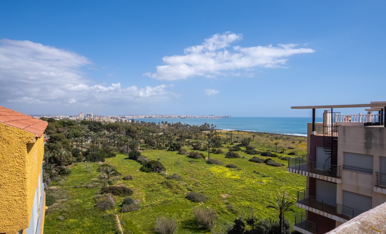 Sale - Apartment / flat - Orihuela Costa - Punta Prima