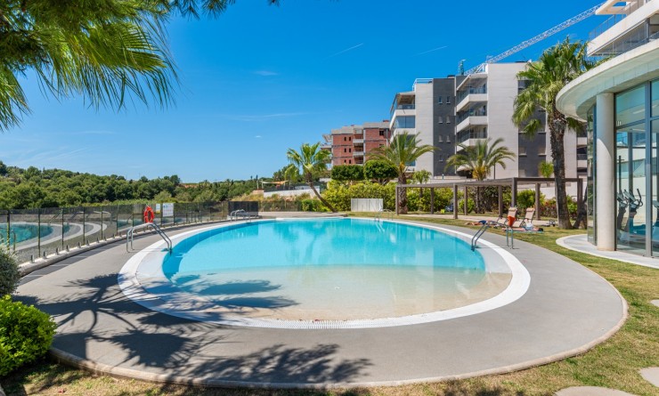 Wederverkoop - Apartments - Orihuela Costa - Los Dolses