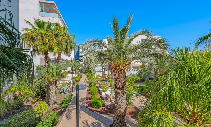 Wederverkoop - Apartments - Orihuela Costa - Los Dolses