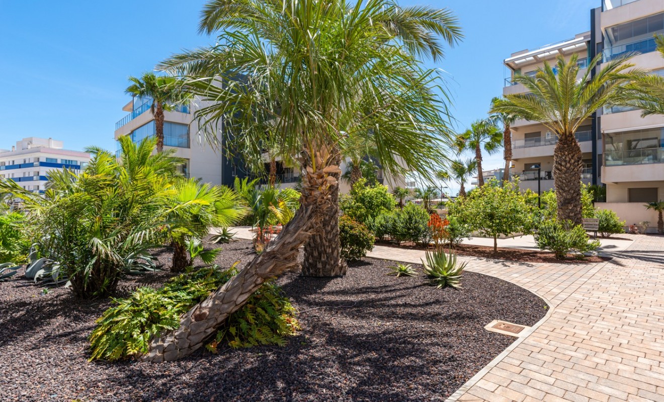 Wederverkoop - Apartments - Orihuela Costa - Los Dolses