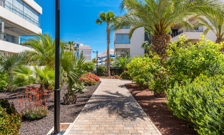 Wederverkoop - Apartments - Orihuela Costa - Los Dolses