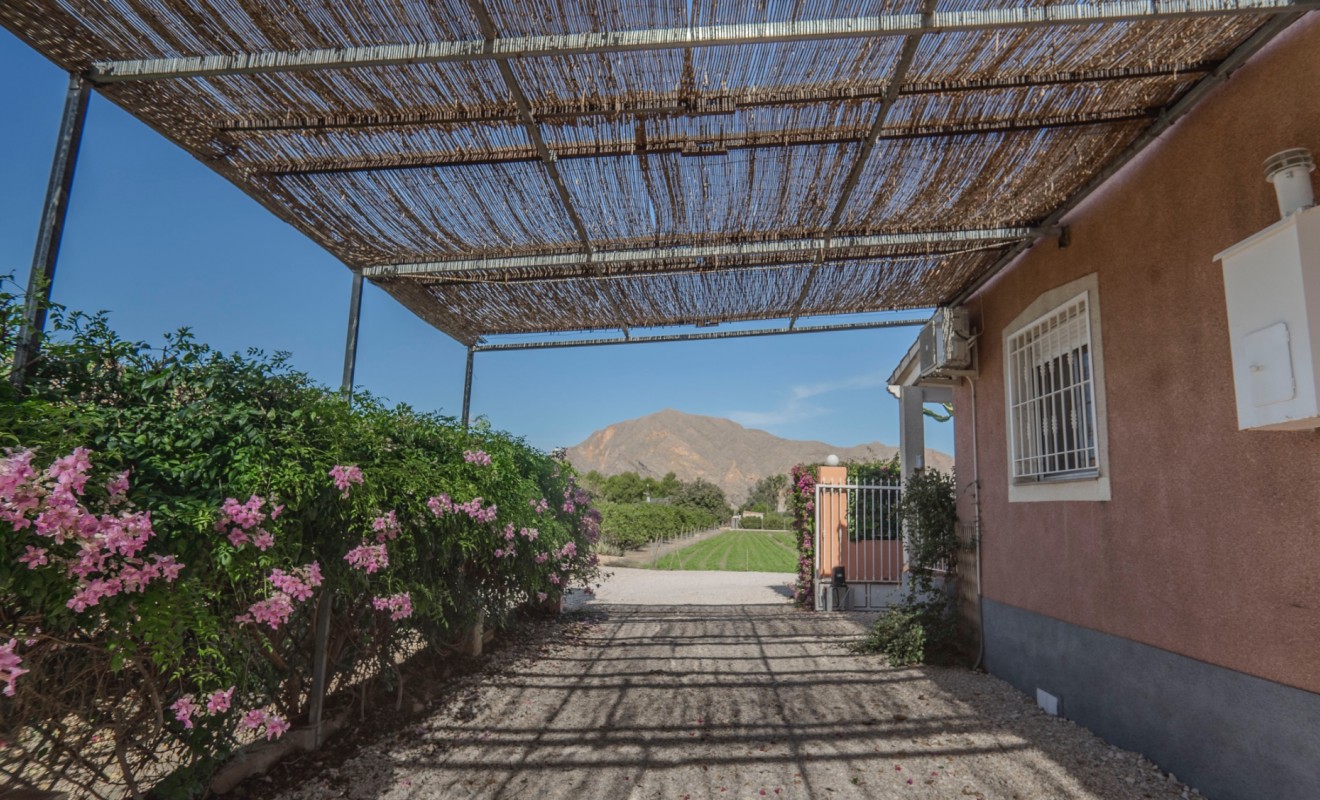 Wederverkoop - Country Property - Orihuela - San Bartolome