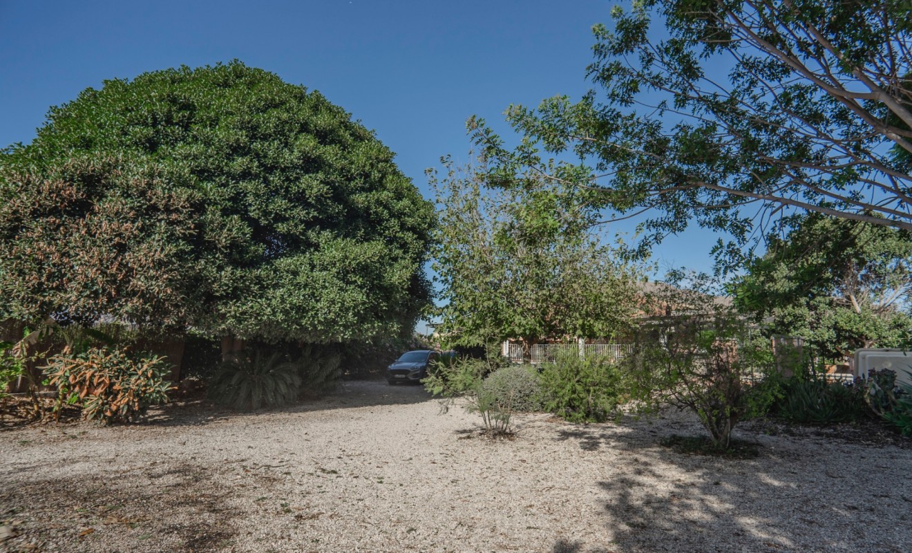 Wederverkoop - Country Property - Orihuela - San Bartolome