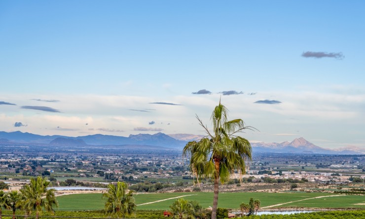 Wederverkoop - Detached villa - Algorfa - Lomas De La Juliana