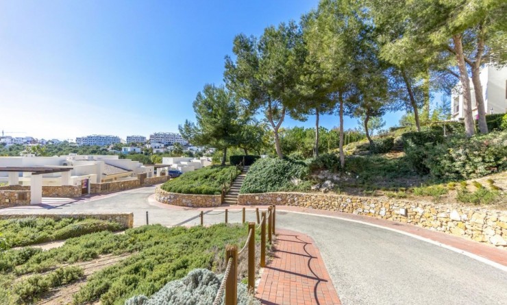 Wederverkoop - Penthouse - Orihuela Costa - Las Colinas Golf