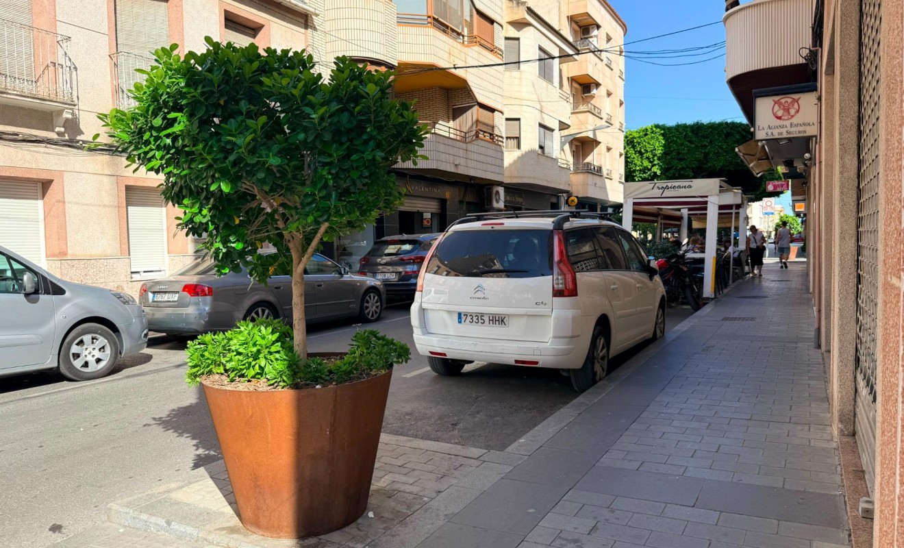 New Build - Business - Almoradí - Almoradí Centro