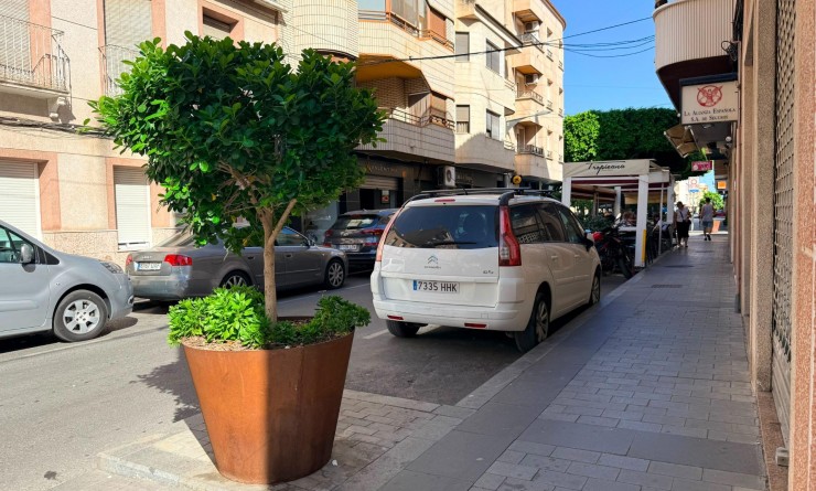 New Build - Business - Almoradí - Almoradí Centro