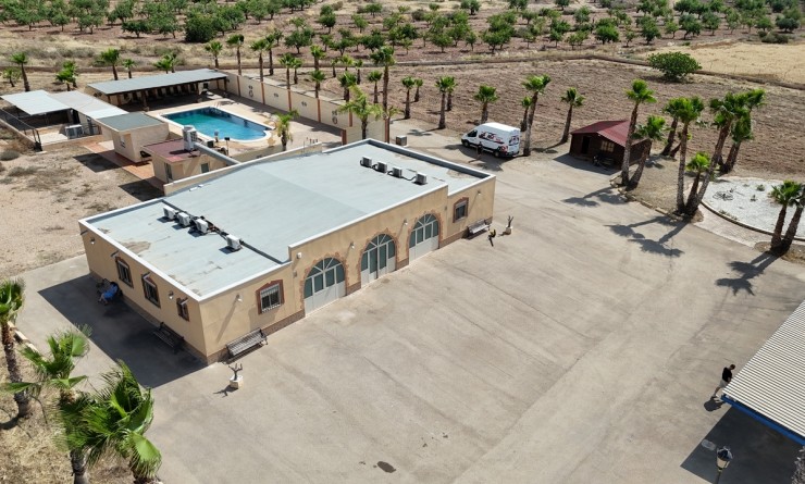 Revente - Villa - Fuente-Alamo de Murcia