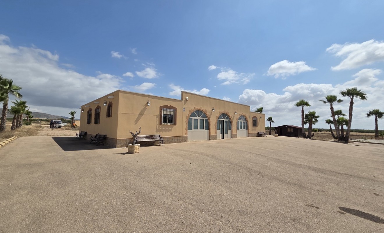 Revente - Villa - Fuente-Alamo de Murcia