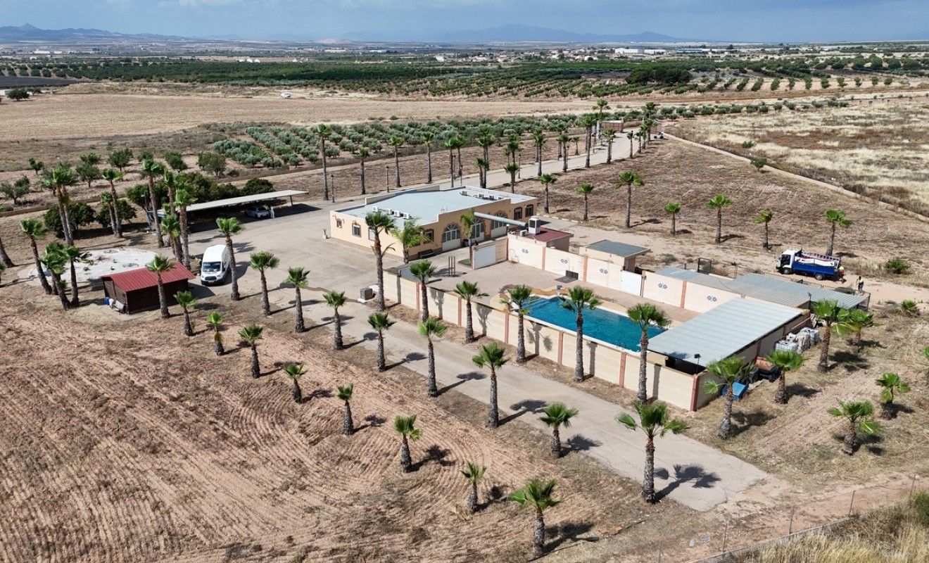 Revente - Villa - Fuente-Alamo de Murcia