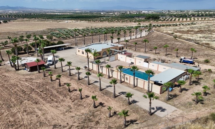 Revente - Villa - Fuente-Alamo de Murcia