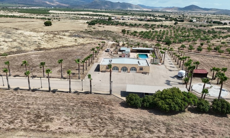 Revente - Villa - Fuente-Alamo de Murcia