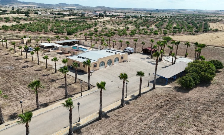 Revente - Villa - Fuente-Alamo de Murcia