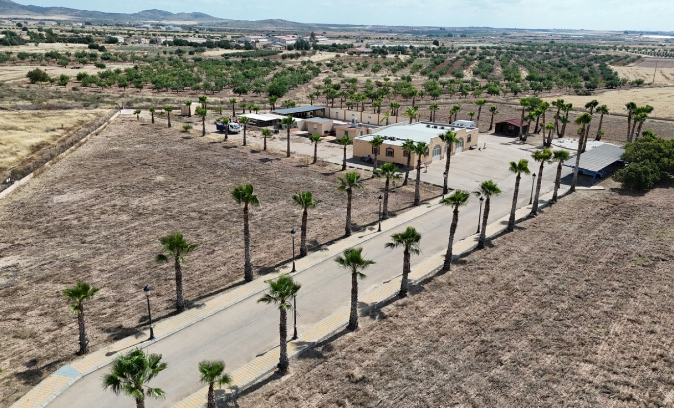 Revente - Villa - Fuente-Alamo de Murcia