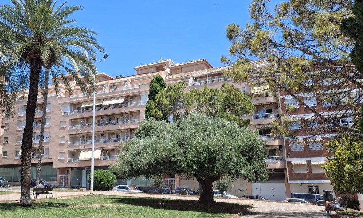 Wederverkoop - Appartement - Torrevieja - Playa de El Cura