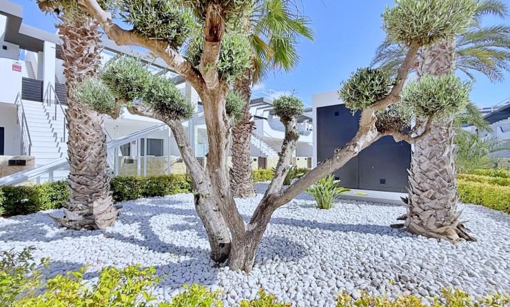 Wederverkoop - Penthouse - Orihuela Costa - Punta Prima