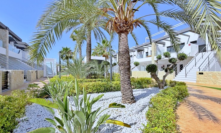 Wederverkoop - Penthouse - Orihuela Costa - Punta Prima