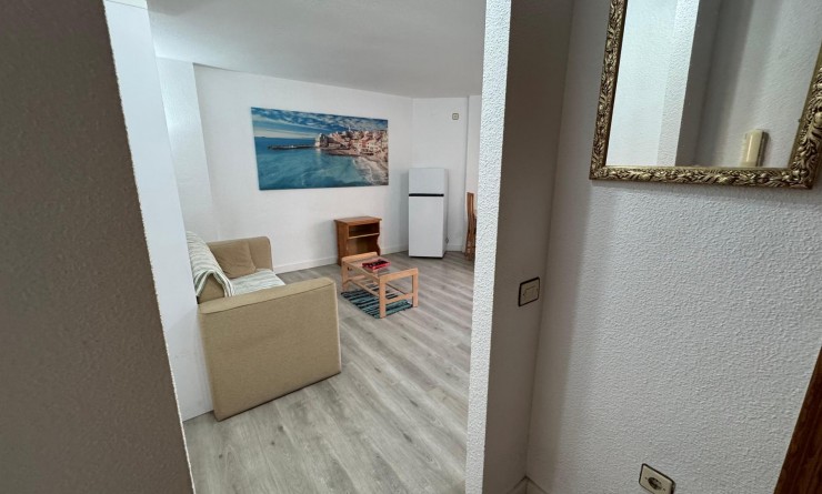 Revente - Estudio - Torrevieja - Playa de Los Locos-Curva del Palangre