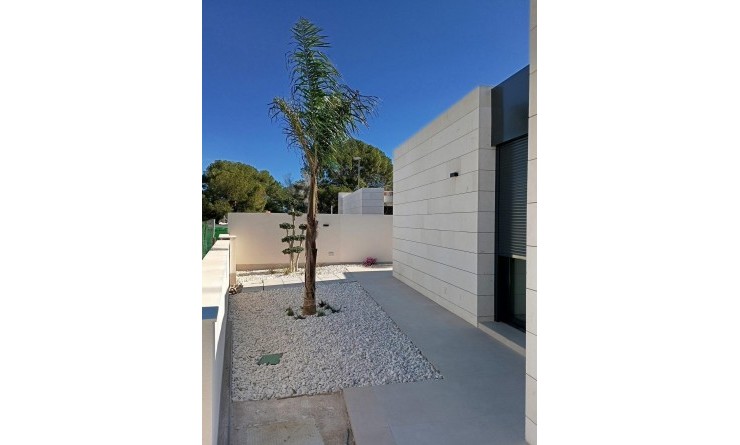 Nieuwbouw woningen - Villa - Pilar de la Horadada - Roda Golf