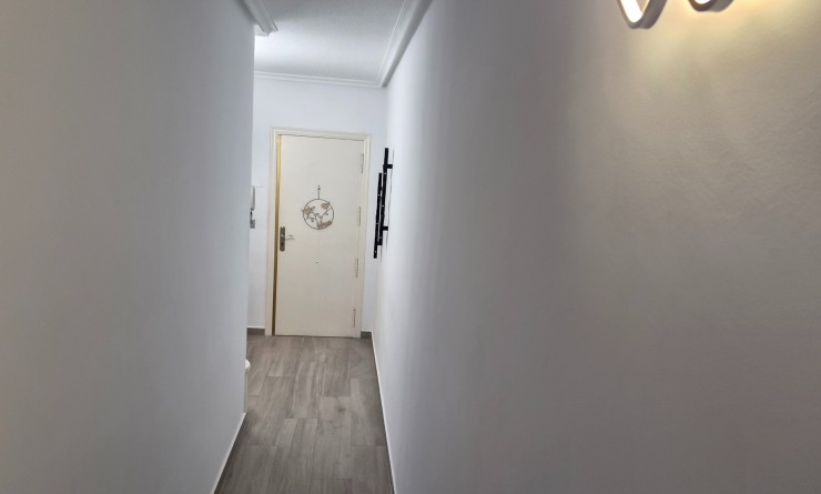 Wederverkoop - Apartment / flat - Torrevieja - torrevieja
