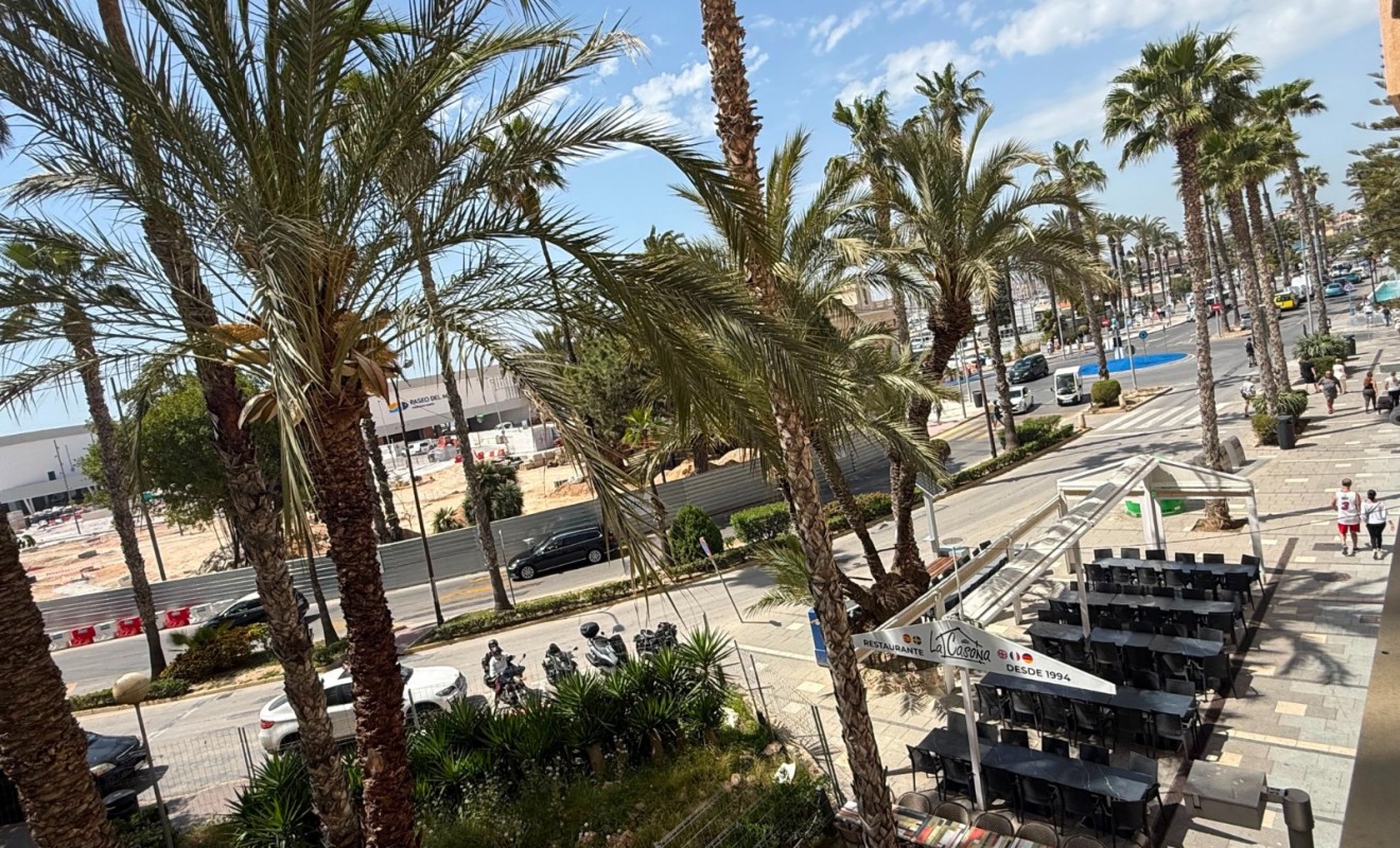 Wederverkoop - Apartment / flat - Torrevieja - torrevieja