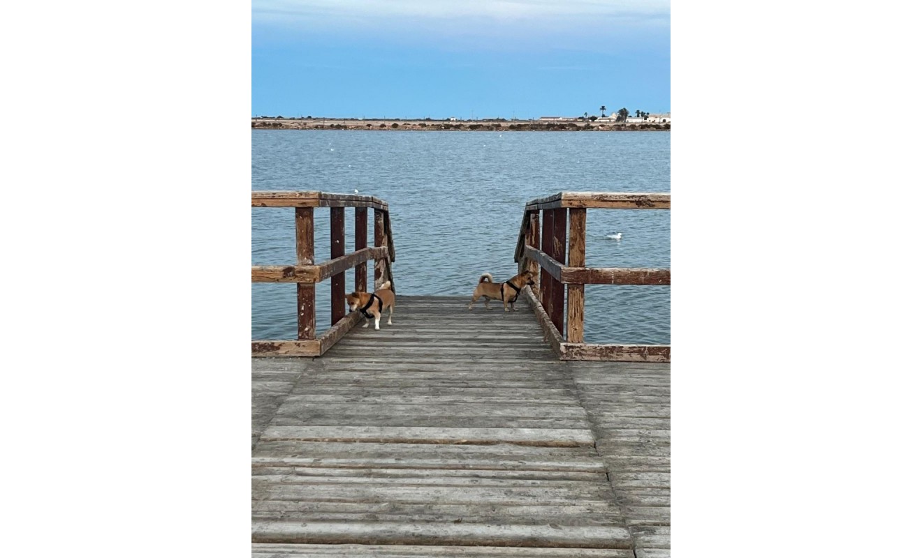 Wederverkoop - Herenhuis - San Pedro del Pinatar - Los Antolinos