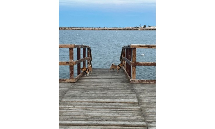 Wederverkoop - Herenhuis - San Pedro del Pinatar - Los Antolinos