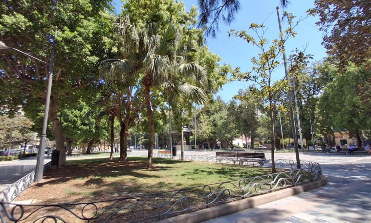 Wederverkoop - Appartement - Orihuela - Zona Centro