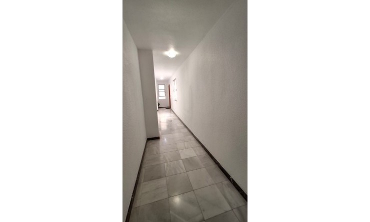 Wederverkoop - Appartement - Orihuela - Zona Centro