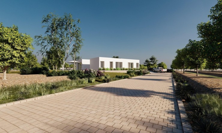 Nieuwbouw woningen - Villa - Benejúzar - alta