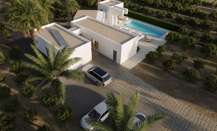 Nieuwbouw woningen - Villa - Benejúzar - alta